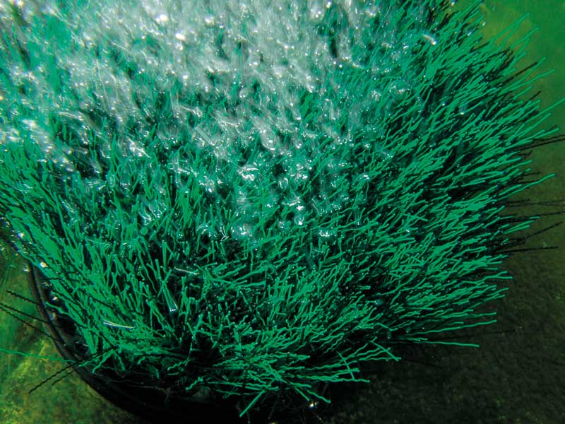 Nahaufnahme eines OxyTex 400