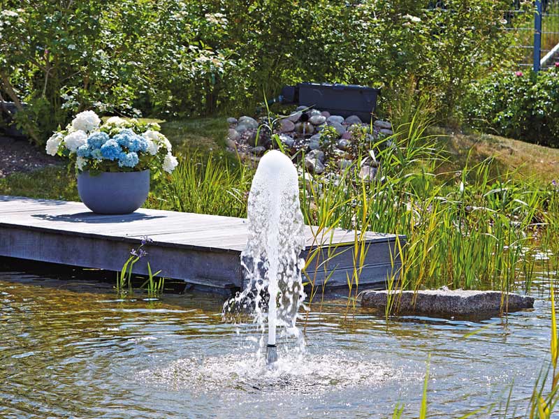 Schaumsprudel in einem uepig bewachsenen Teich