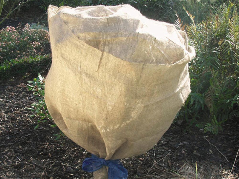 Jute-Schutzvlies im Garten