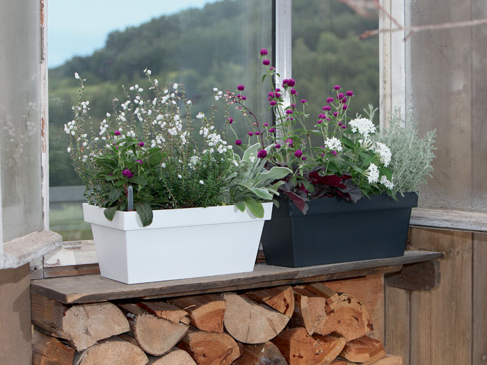 blumenkasten-cube-case-bepf Blumenkasten Cube Case bepflanzt