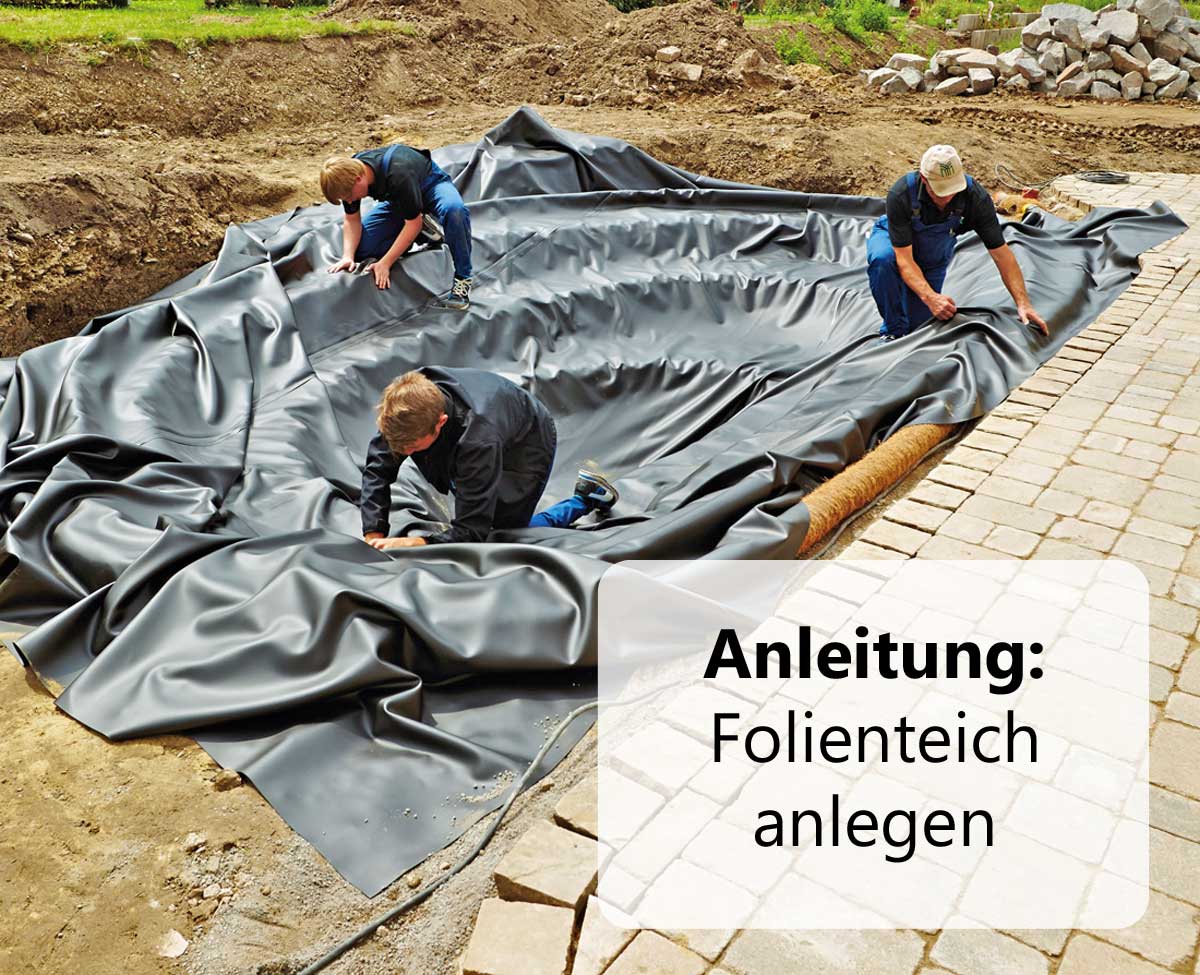Anleitung: Folienteich anlegen