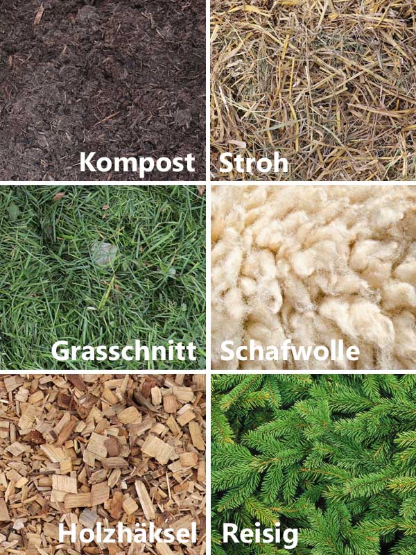 Verschiedene Mulchmaterialien fuer Beerenstraeucher