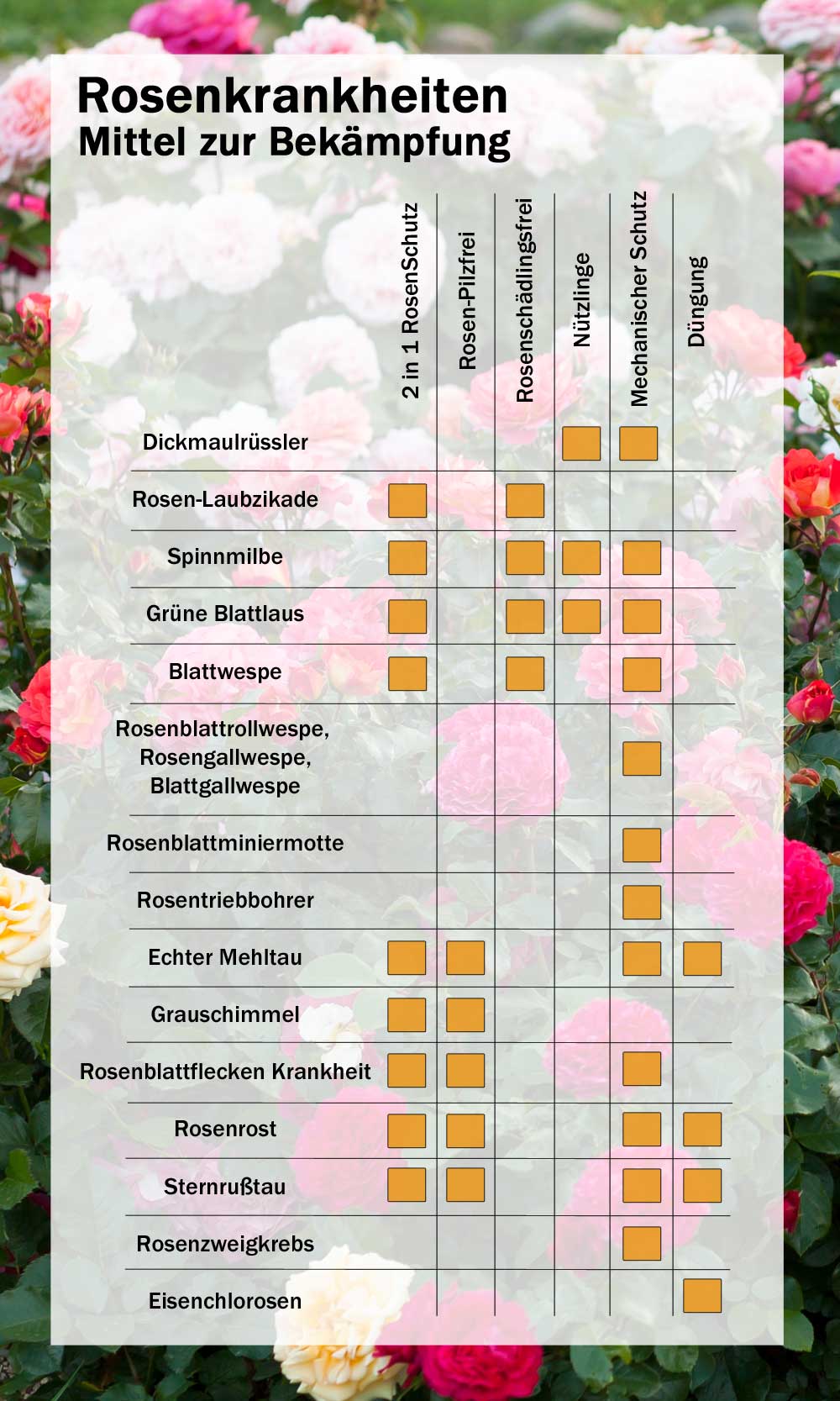Uebersicht Mittel zur Bekaempfung von Rosenkrankheiten