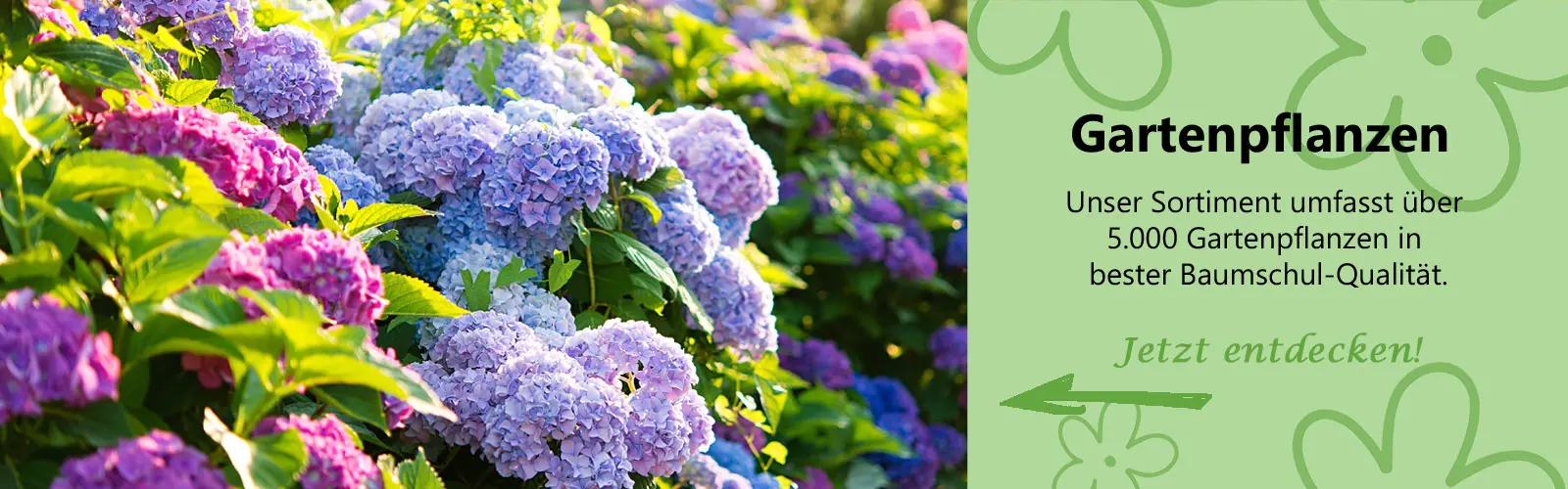 Unser Gartenpflanzen-Sortiment