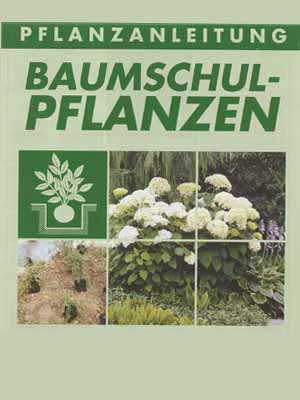 pflanzanleitung Pflanz- und Pflegeanleitung für Gehölze