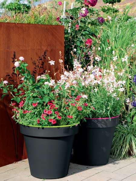 Pflanztopf E und K Bicolor bepflanzt