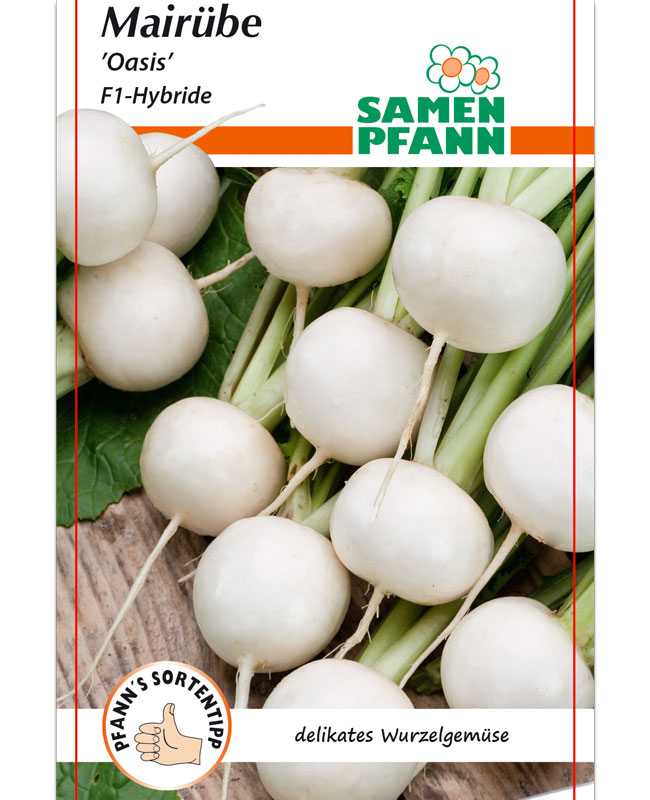mairuebe-oasis Mairübe 'Oasis' - F1-Hybride (Art.Nr. G683)