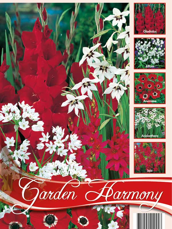 Garden Harmony Sortiment Sommergarten rot und weiß