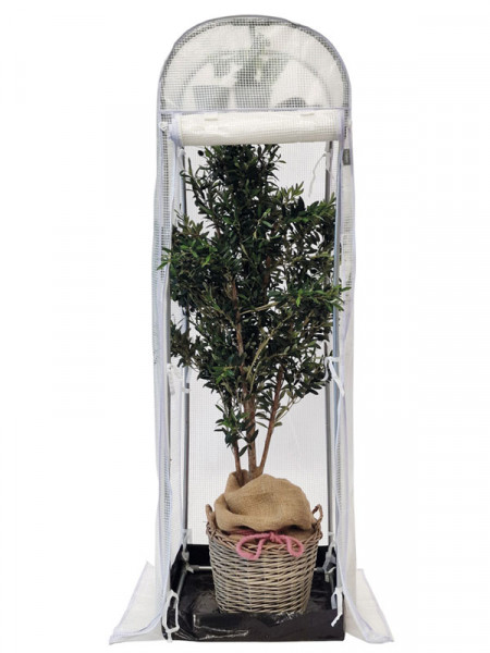 Frost-Schutzhaus SNOW (Art.Nr. V29933) Frost-Schutzhaus SNOW (Art.Nr. V29933)