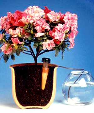 blumat_j Blumat-Bewässerung (Artikel-Nr. 249415)