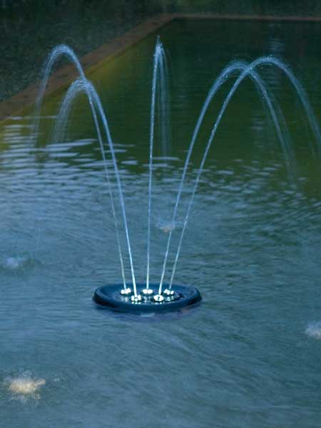 water_starlet_4