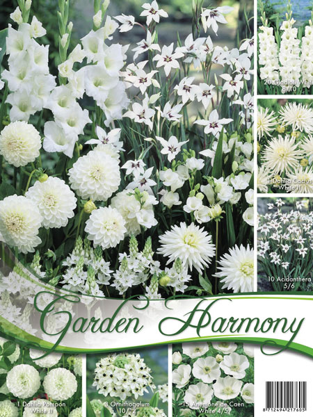 garden_harmony_weiss_2_81031_0 Sortiment Weißer Garten (Art.Nr. 522452)