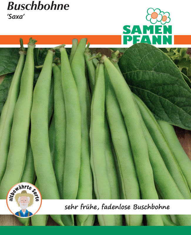 bohne-saxa