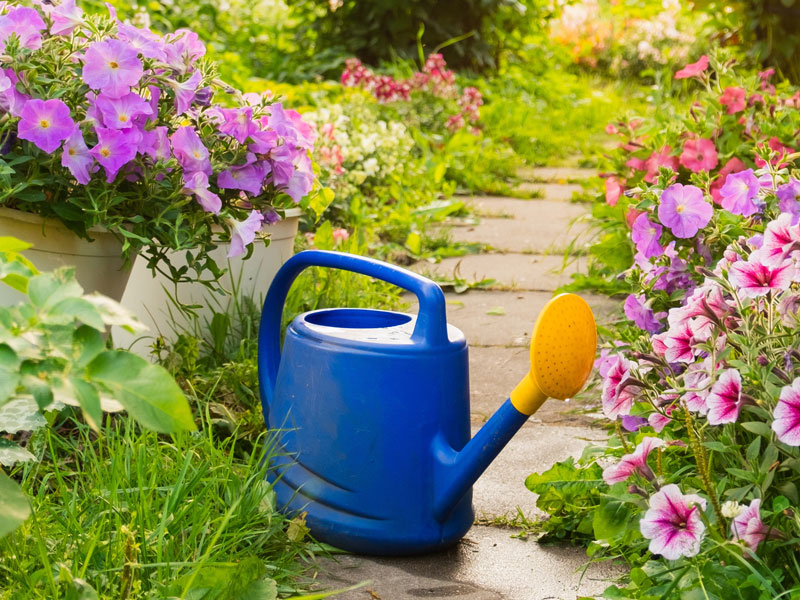 Giesskanne im Garten