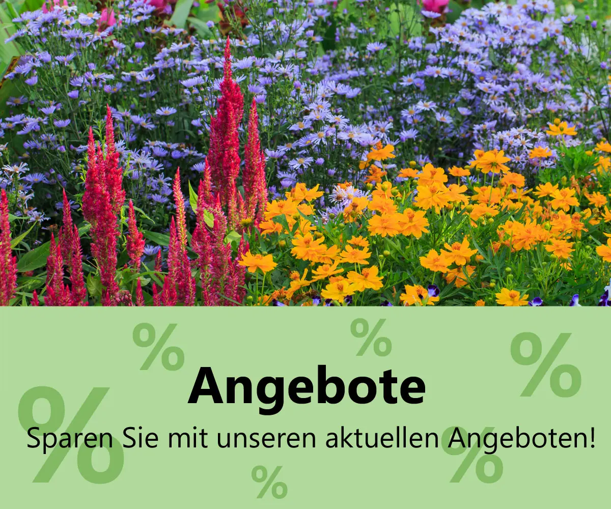 Unsere Angebote