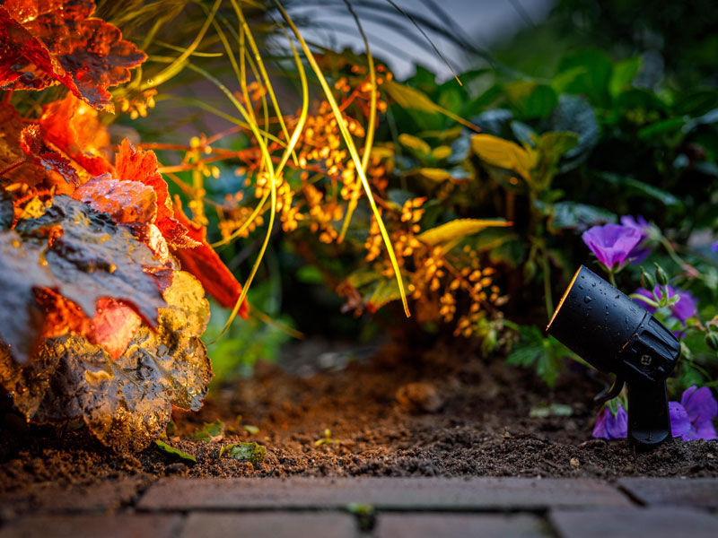 Spotstrahler Neso bei Nacht Spotstrahler Neso leuchtet bei Nacht ein Blumenbeet an