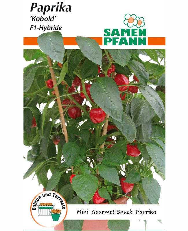 paprika-kobold Snack-Paprika 'Kobold' - F1 Hybride (Art.Nr. G578)