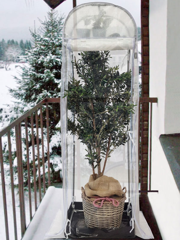 Frost-Schutzhaus SNOW (Art.Nr. V29933) Frost-Schutzhaus SNOW (Art.Nr. V29933)