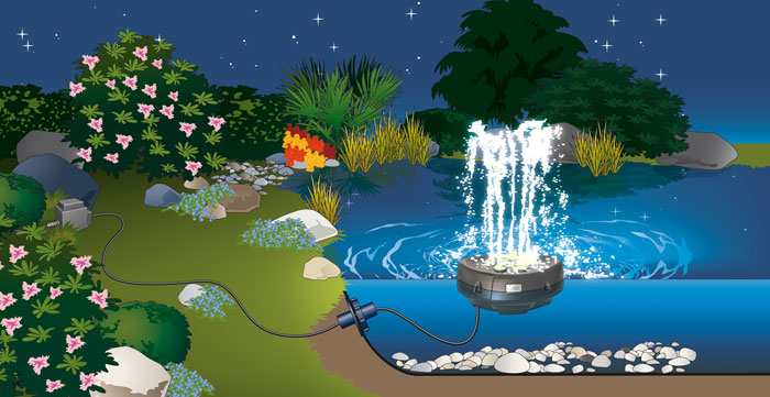 waterstarlet-4