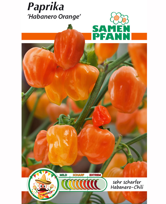 paprika-habanero-orange-chi Paprika 'Habanero Orange Chili' (Art.Nr. G583)