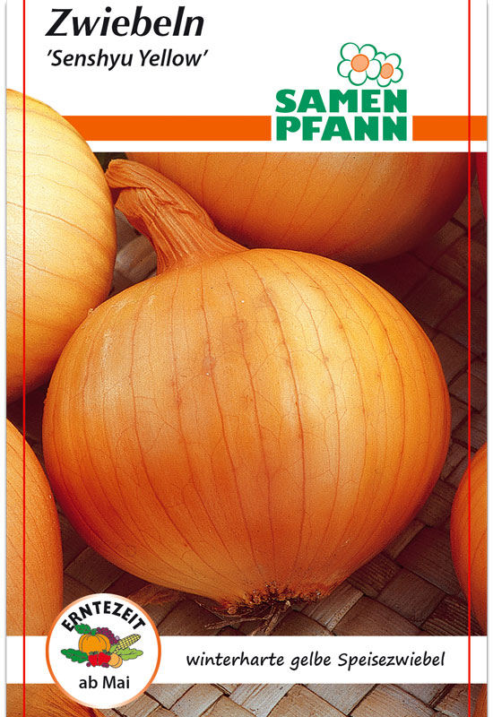 zwiebel-senshyu-yellow