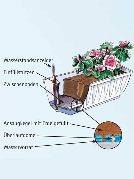 Aufbau und Details Blumenkasten Aqua Flor