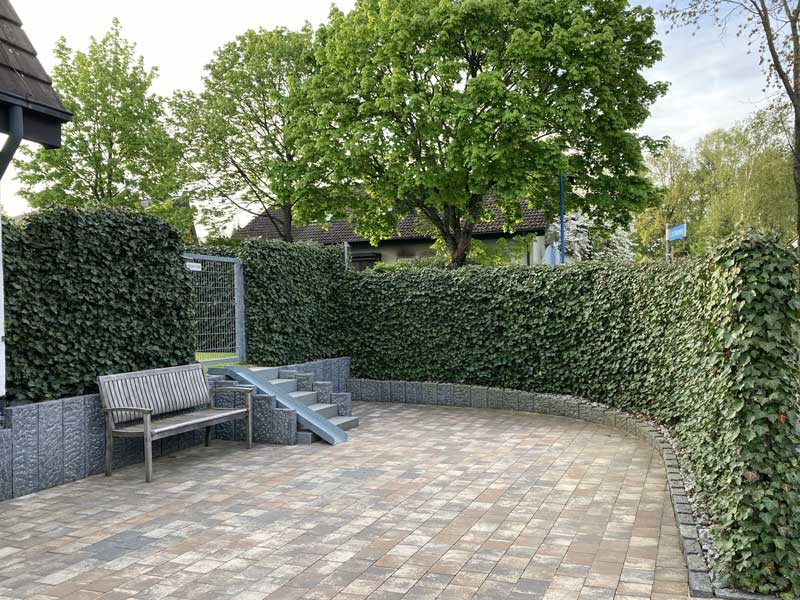 Efeu 'Woerneri' in einem Hof