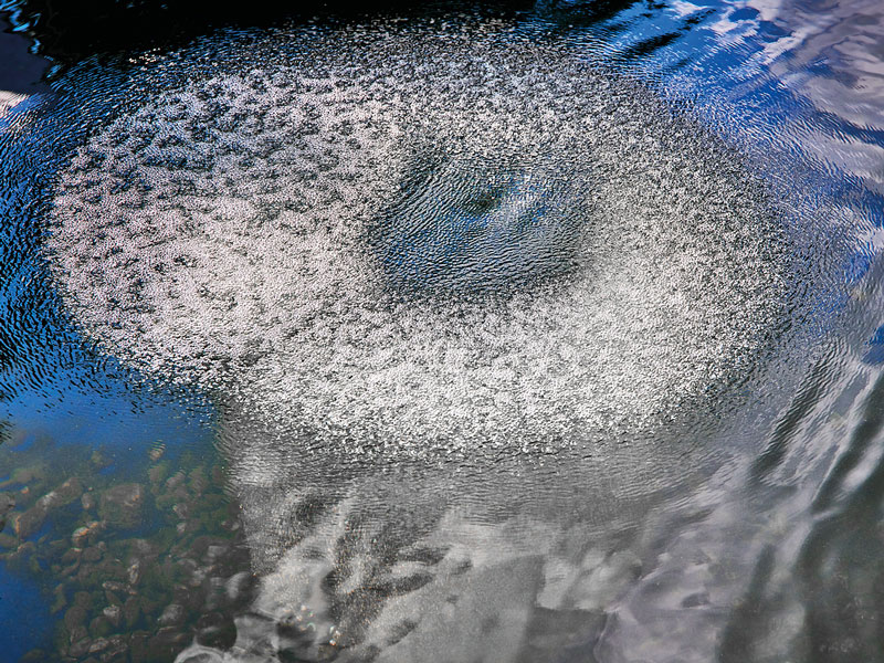 Ansicht eines AquaOxy Belüfterrings