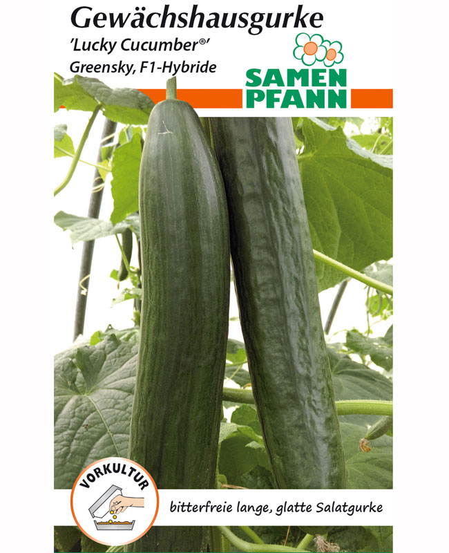 gurke-lucky-cucumber Gewächshausgurke 'Lucky Cucumber' - F1-Hybride (Art.Nr. G293)