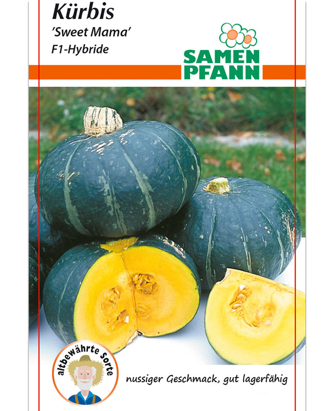 kuerbis-sweet-mama Kürbis 'Sweet Mama' - F1-Hybride (Art.Nr. G508)