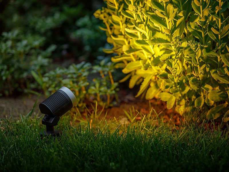 Spotstrahler Arcus bei Nacht Spotstrahler Arcus leuchtet bei Nacht auf einen Strauch