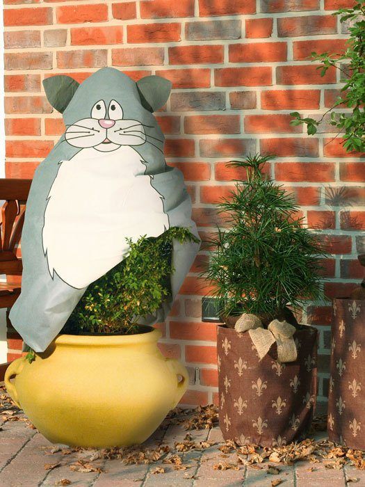 wintervlies-kater-gismo