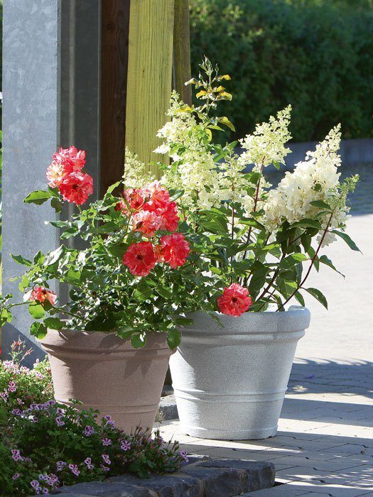 Pflanzkuebel Milano bepflanzt in Hofeinfahrt