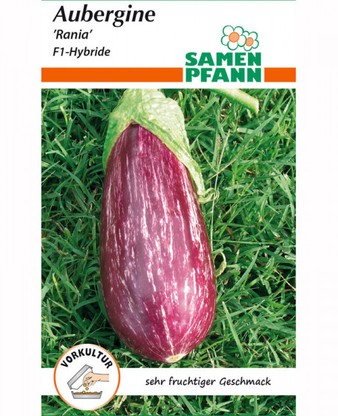 Aubergine &#039;Rania&#039; F1-Hybride (Art.Nr. G098)