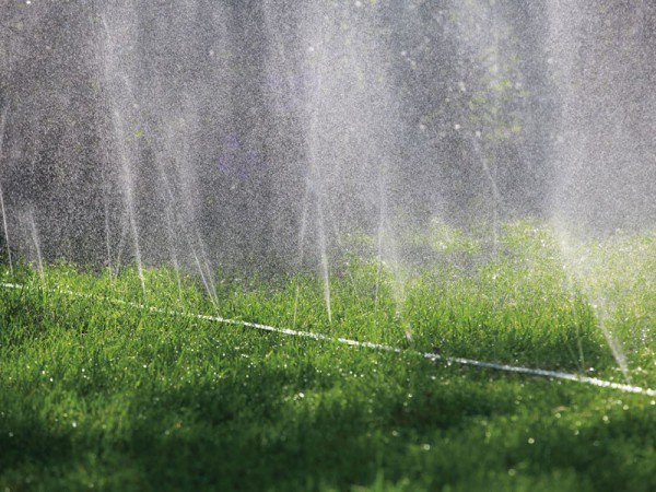 Gardena Schlauchregner sprühend