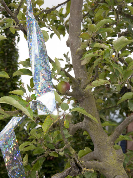 Bird Blocker Band im Baum