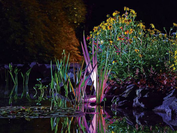 Profilux Garden LED RGB von OASE (Art.Nr.42638)