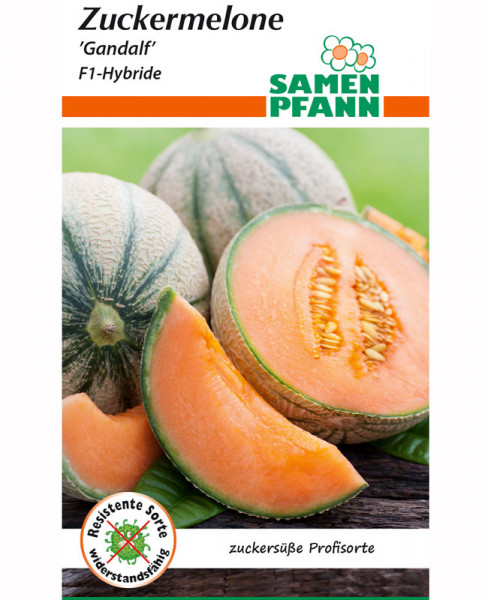 Zuckermelone 'Gandalf' - F1-Hybride (Art.Nr. G527')