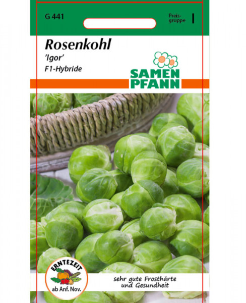 Rosenkohl &#039;Igor&#039; - F1-Hybride (Art.Nr. G441)