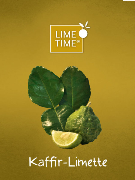 Limettenbaum &#039;Kaffir-Limette&#039; - Lime Time®