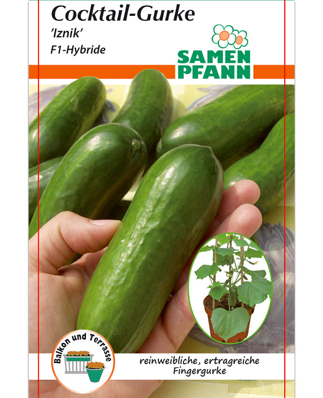 Gurken Gemüsesamen Gartenpflanzen