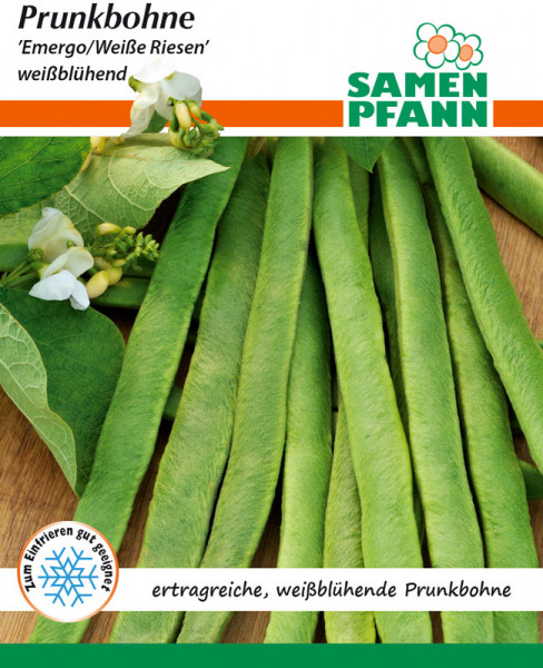 Prunkbohne 'Emergo (Weiße Riesen)' Art.Nr. G197)