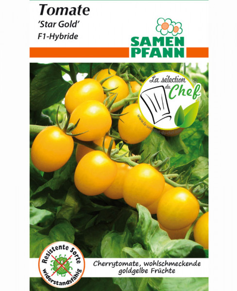 Tomate &#039;Star Gold&#039; - F1-Hybride (Art.Nr. G894)