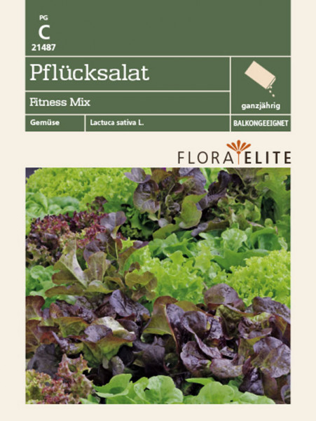 Pflücksalat 'Fitness Mix' (Art.Nr. 21487)
