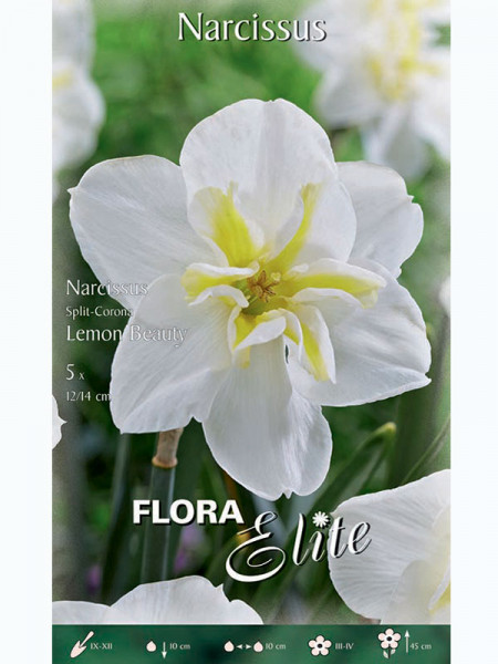Schmetterlings-Narzisse 'Lemon Beauty' (Art.Nr. 5960344)