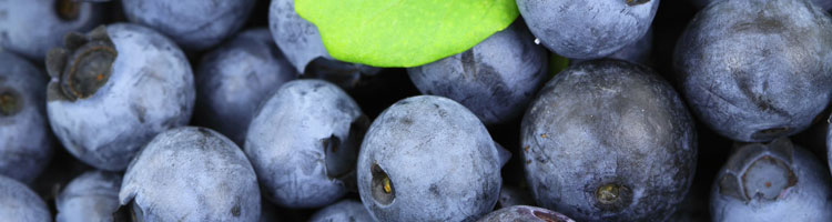 heidelbeeren