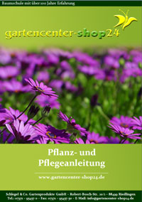 pflege-schmetterling-2