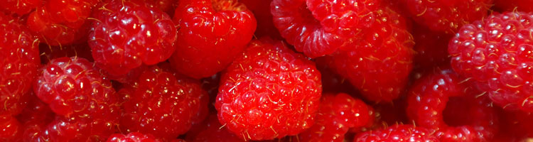 Himbeeren