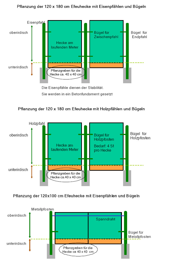 einbauanleitung_hecke_am_laufenden_meter