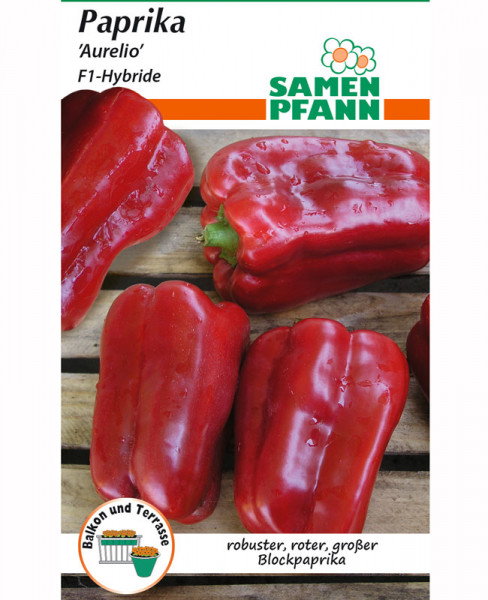Paprika 'Aurelio' - F1-Hybride (Art.Nr. G574)